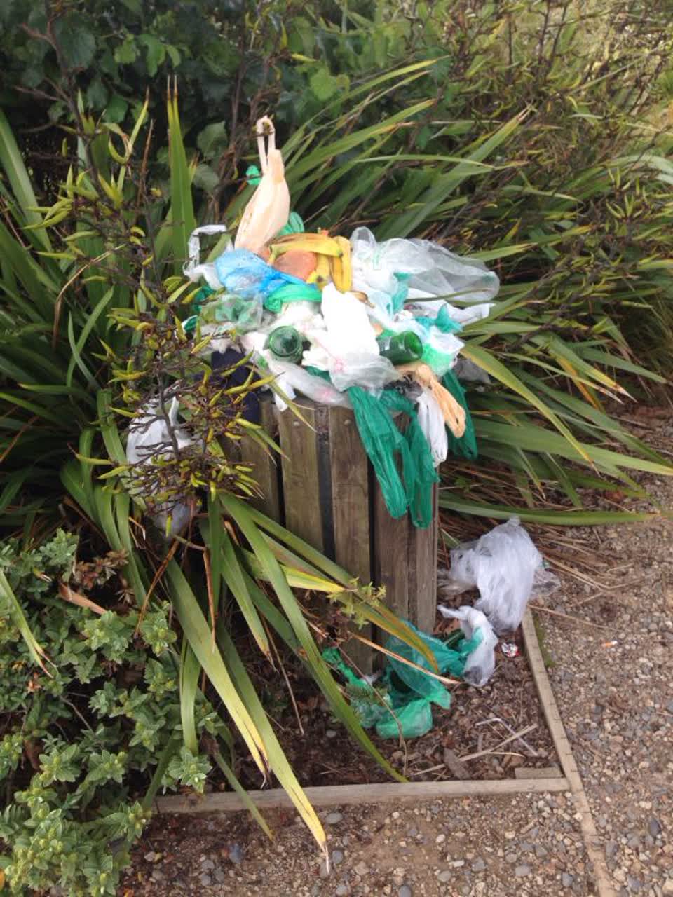 The photograph attached to this parks report