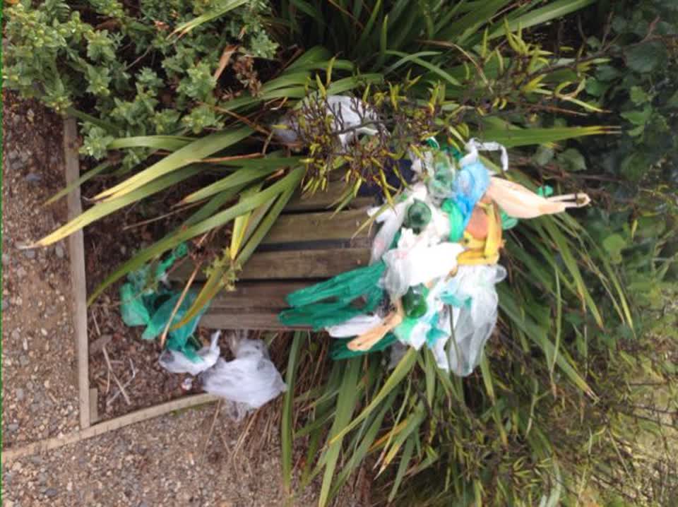The photograph attached to this parks report