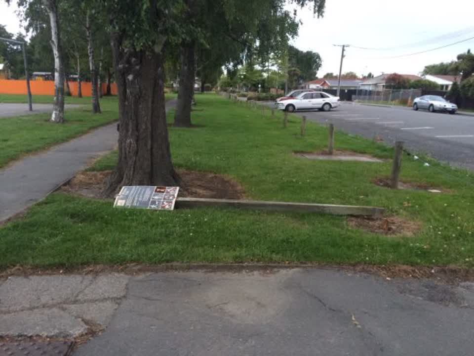 The photograph attached to this parks report