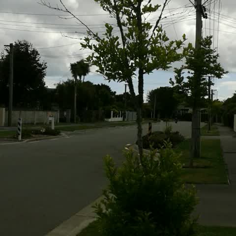 Roading/Streets, a report photo