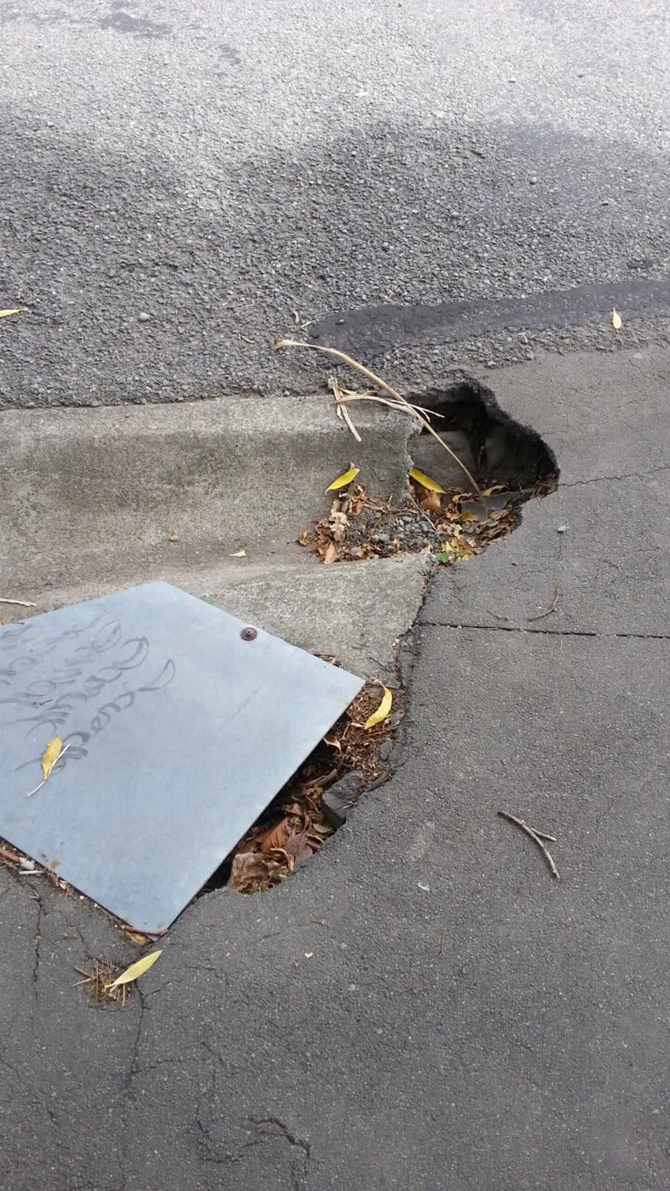 The photograph attached to this roading/streets report