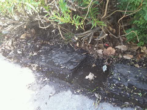 Water Supply, a report photo