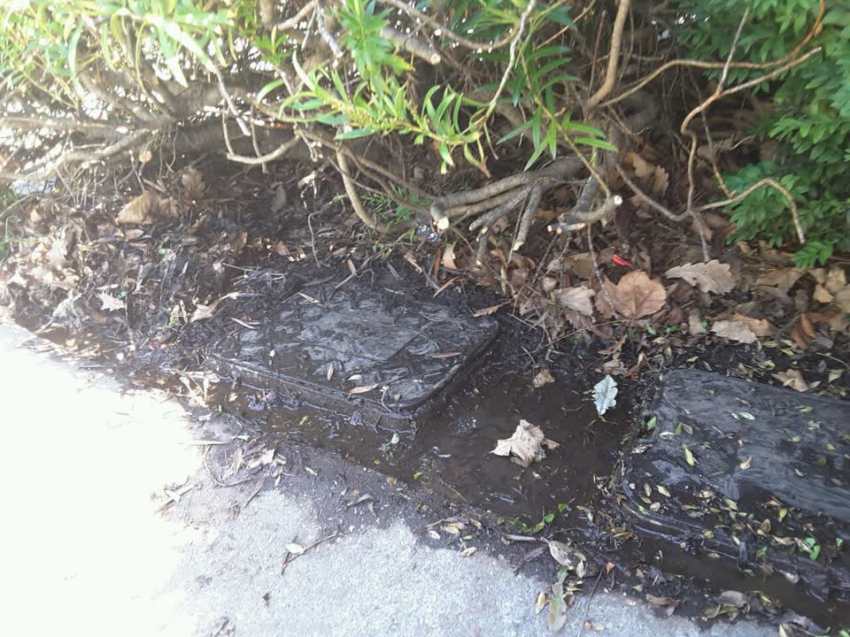 The photograph attached to this water supply report
