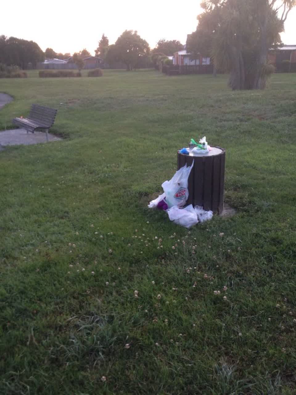 The photograph attached to this parks report