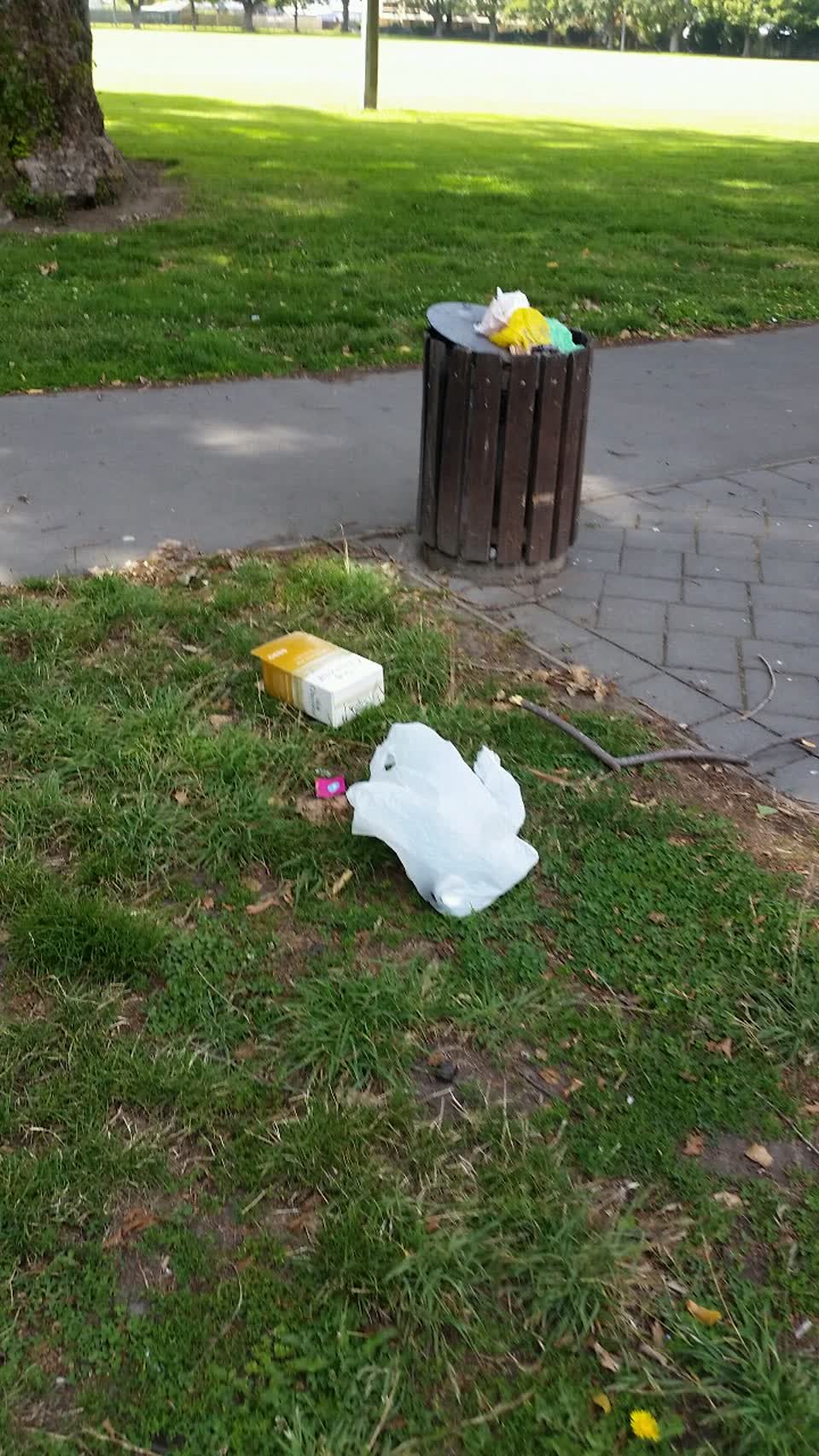The photograph attached to this rubbish/recycling report