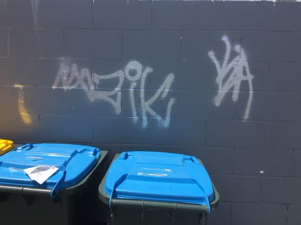 The photograph attached to this graffiti report