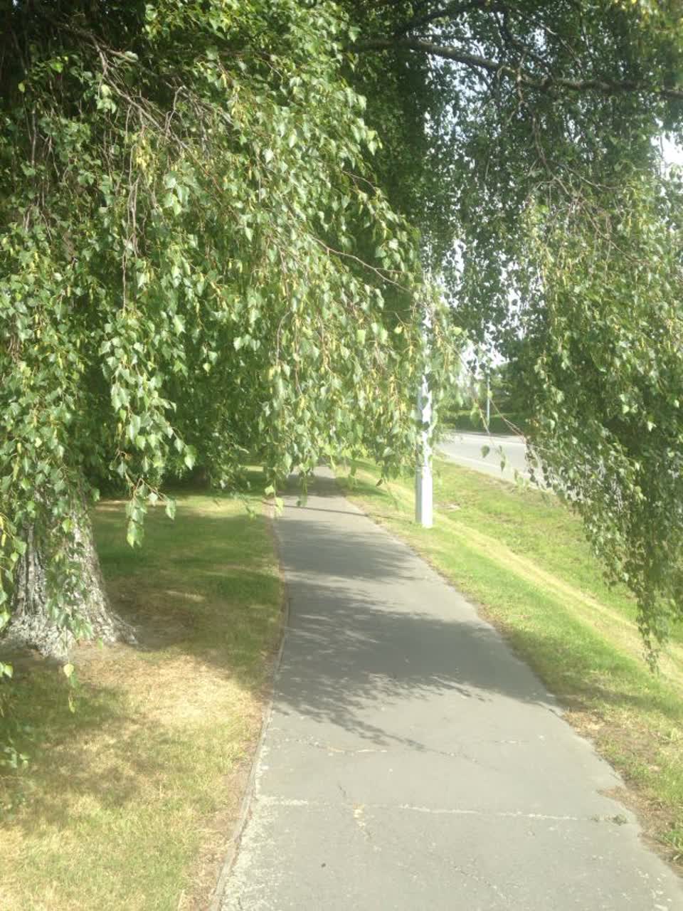 The photograph attached to this parks report