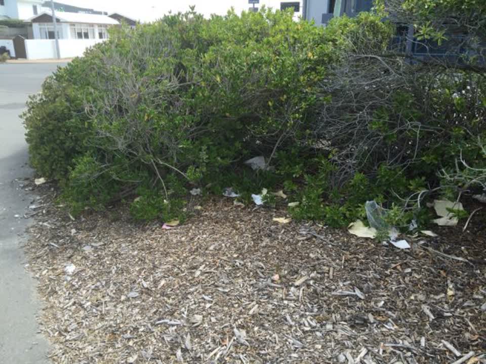 The photograph attached to this rubbish/recycling report