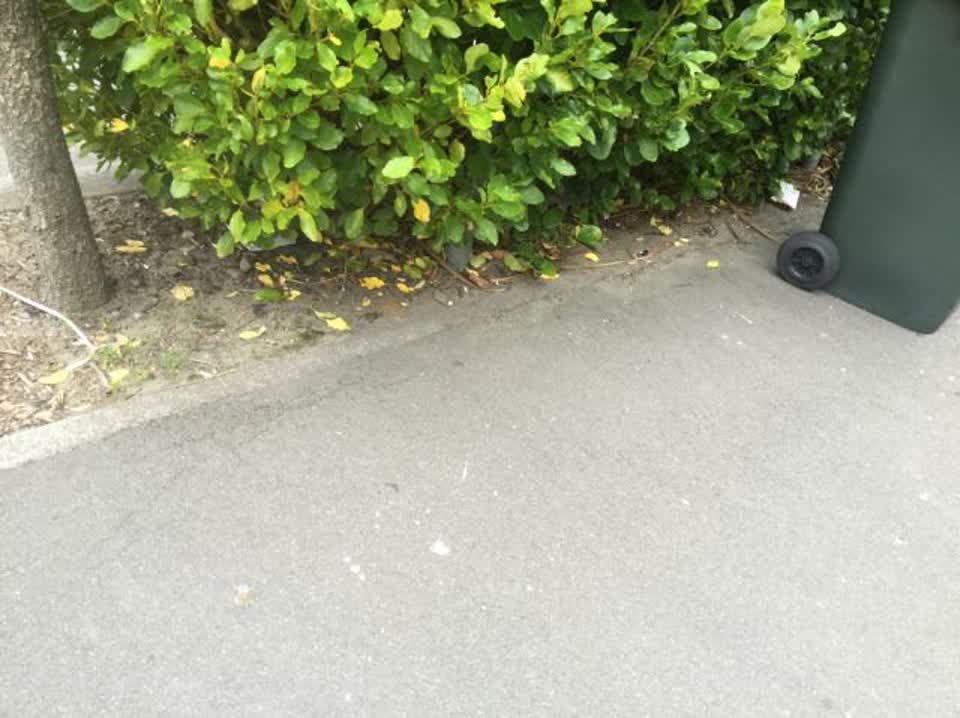 The photograph attached to this rubbish/recycling report