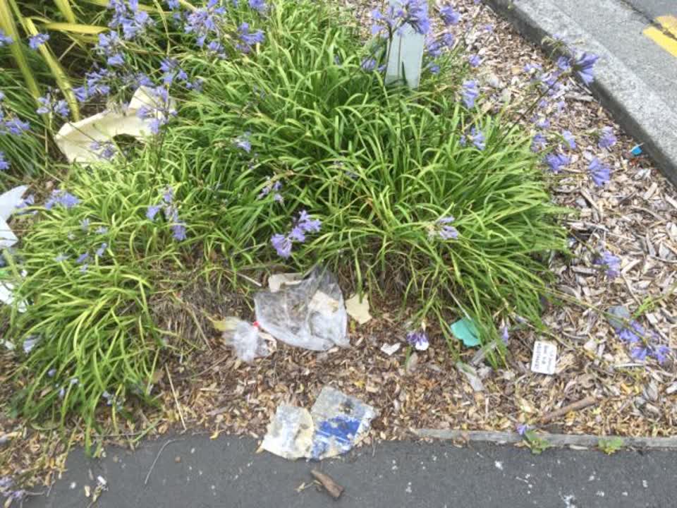 The photograph attached to this rubbish/recycling report