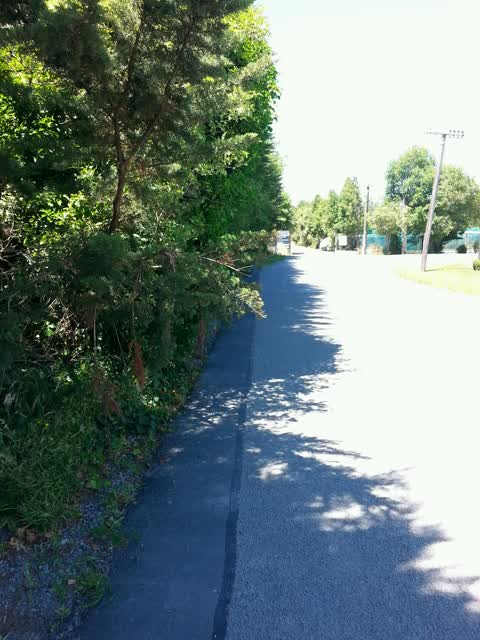 Roading/Streets, a report photo
