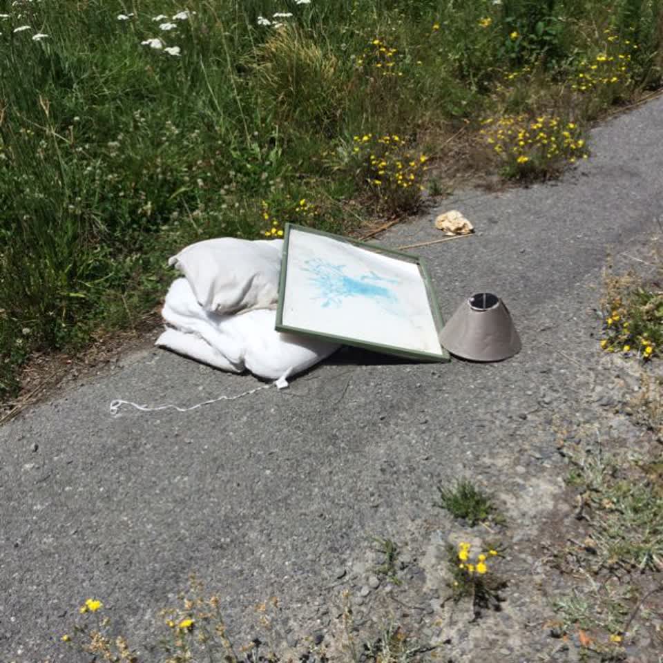 The photograph attached to this rubbish/recycling report