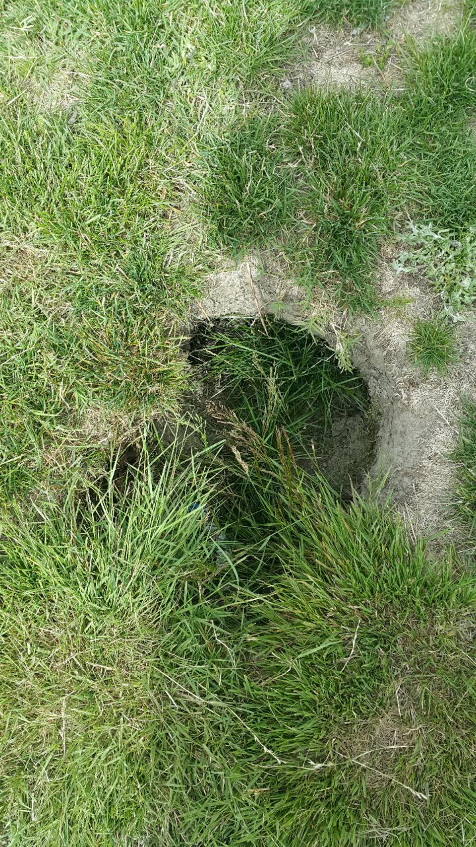 The photograph attached to this parks report