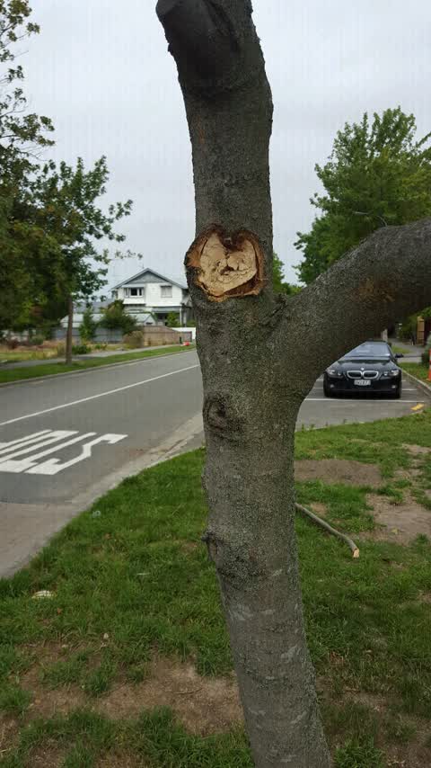 Roading/Streets, a report photo