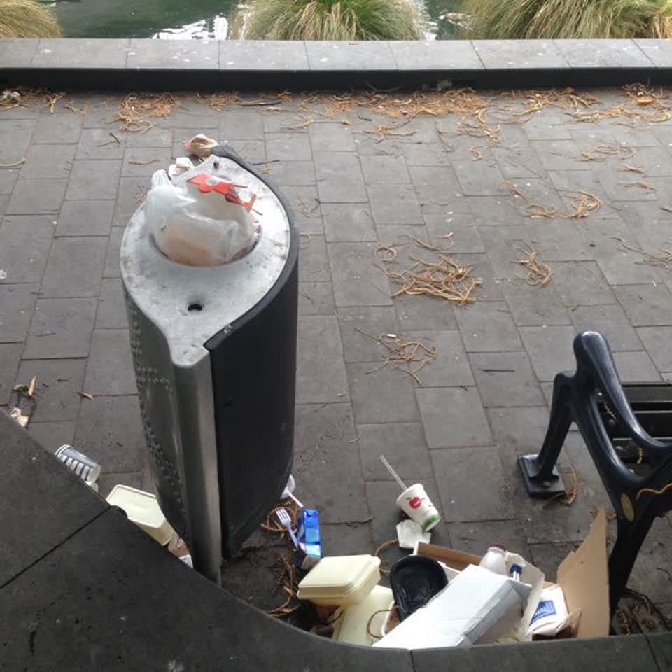 The photograph attached to this parks report