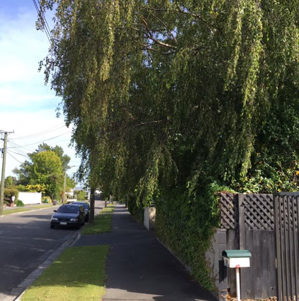The photograph attached to this roading/streets report