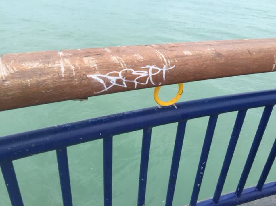 The photograph attached to this graffiti report