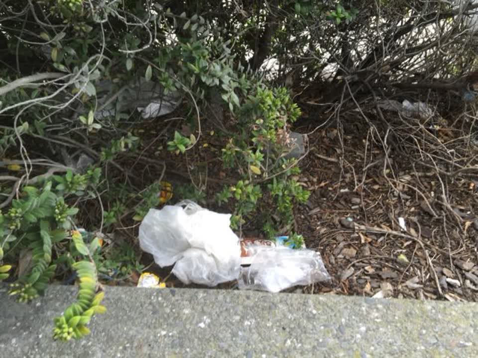 The photograph attached to this rubbish/recycling report