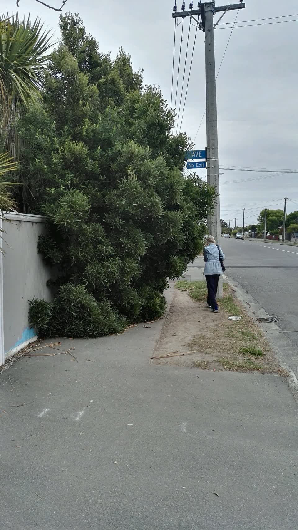 The photograph attached to this roading/streets report