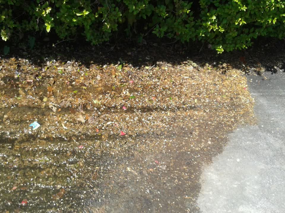 The photograph attached to this water supply report