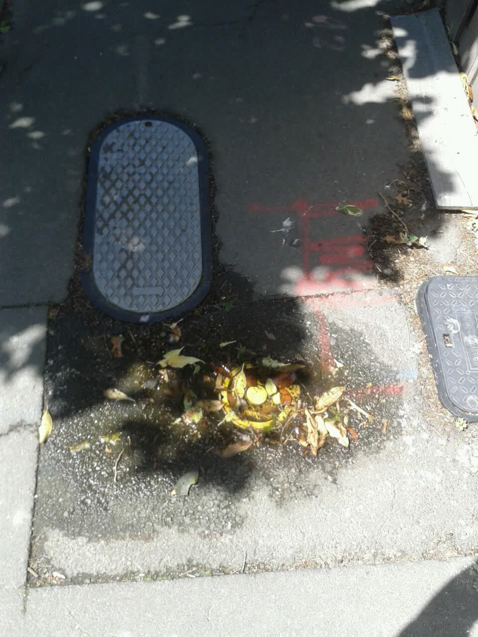 The photograph attached to this water supply report