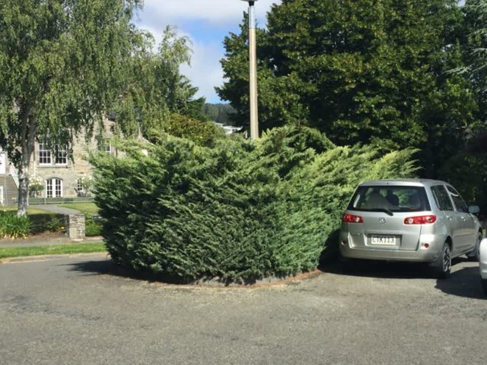 The photograph attached to this parks report