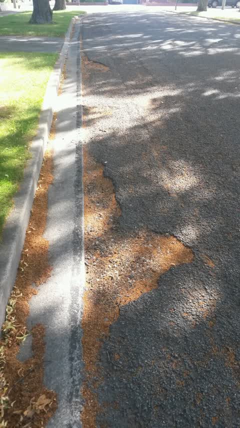 Roading/Streets, a report photo