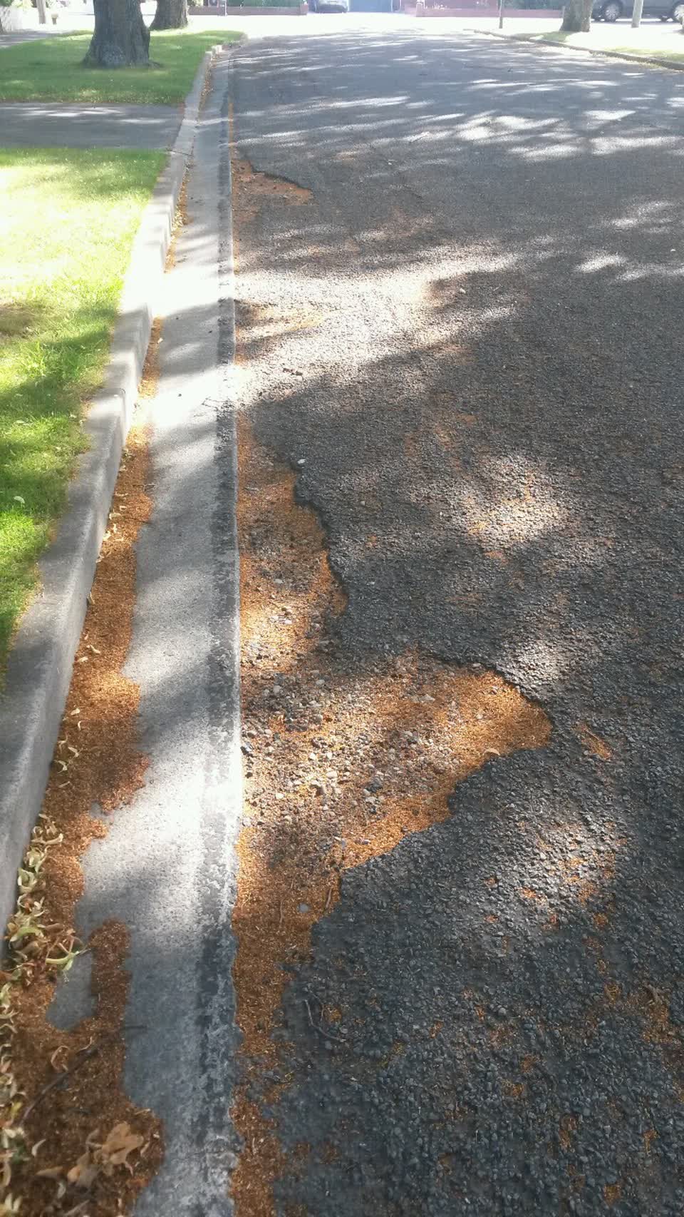The photograph attached to this roading/streets report