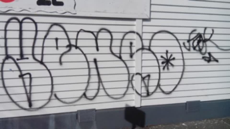 The photograph attached to this graffiti report