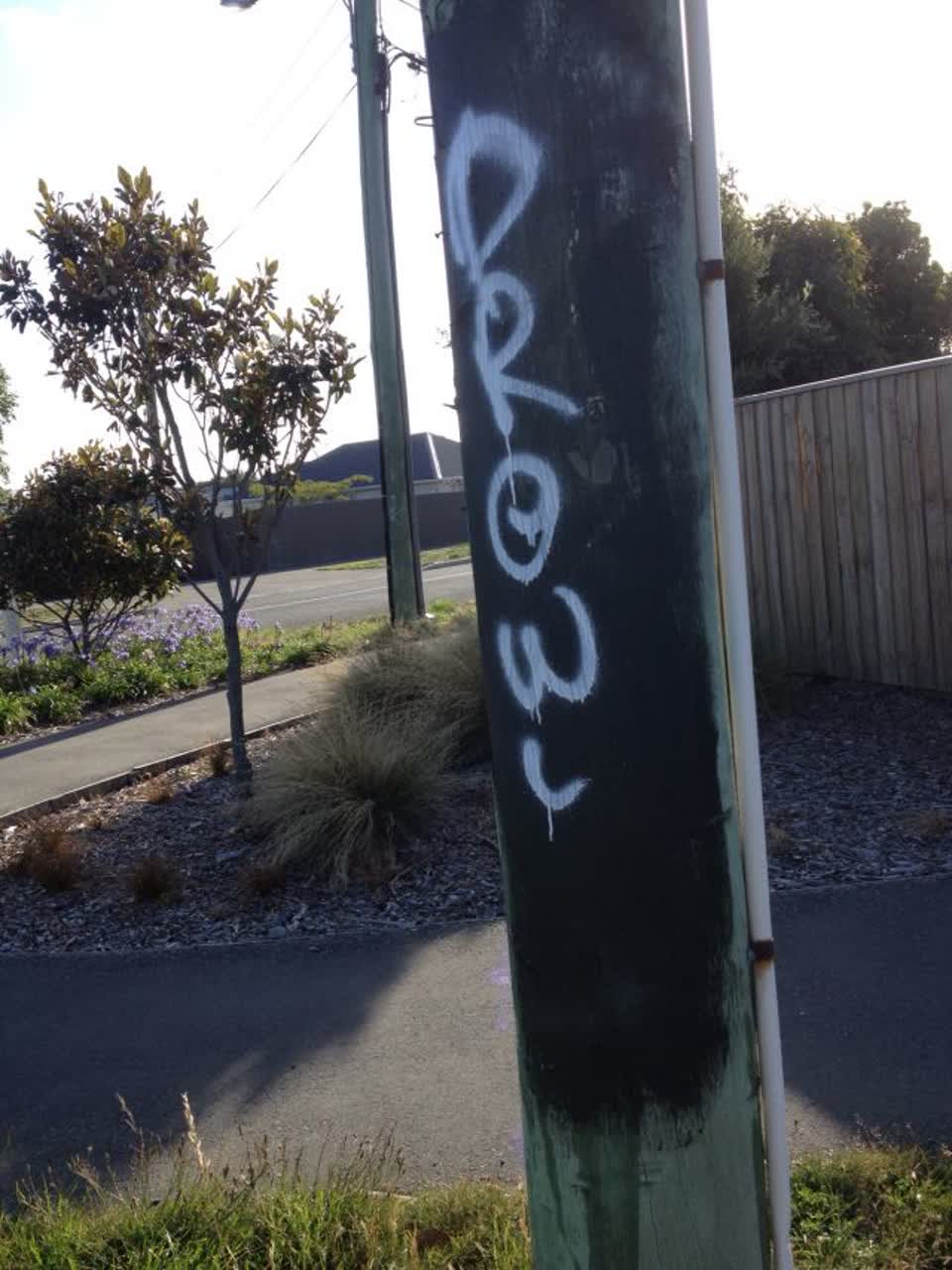 The photograph attached to this graffiti report