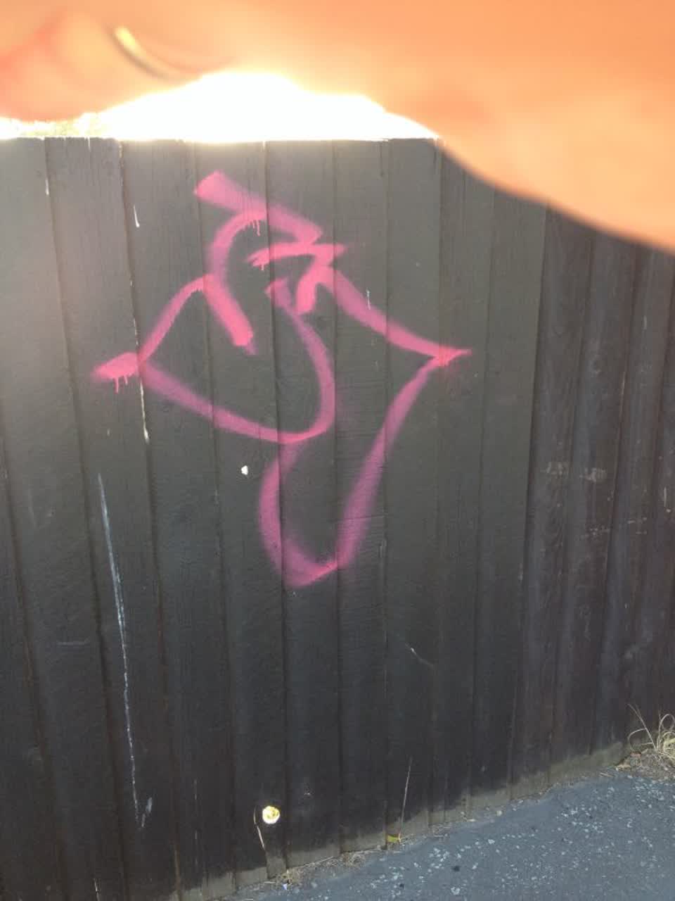 The photograph attached to this graffiti report