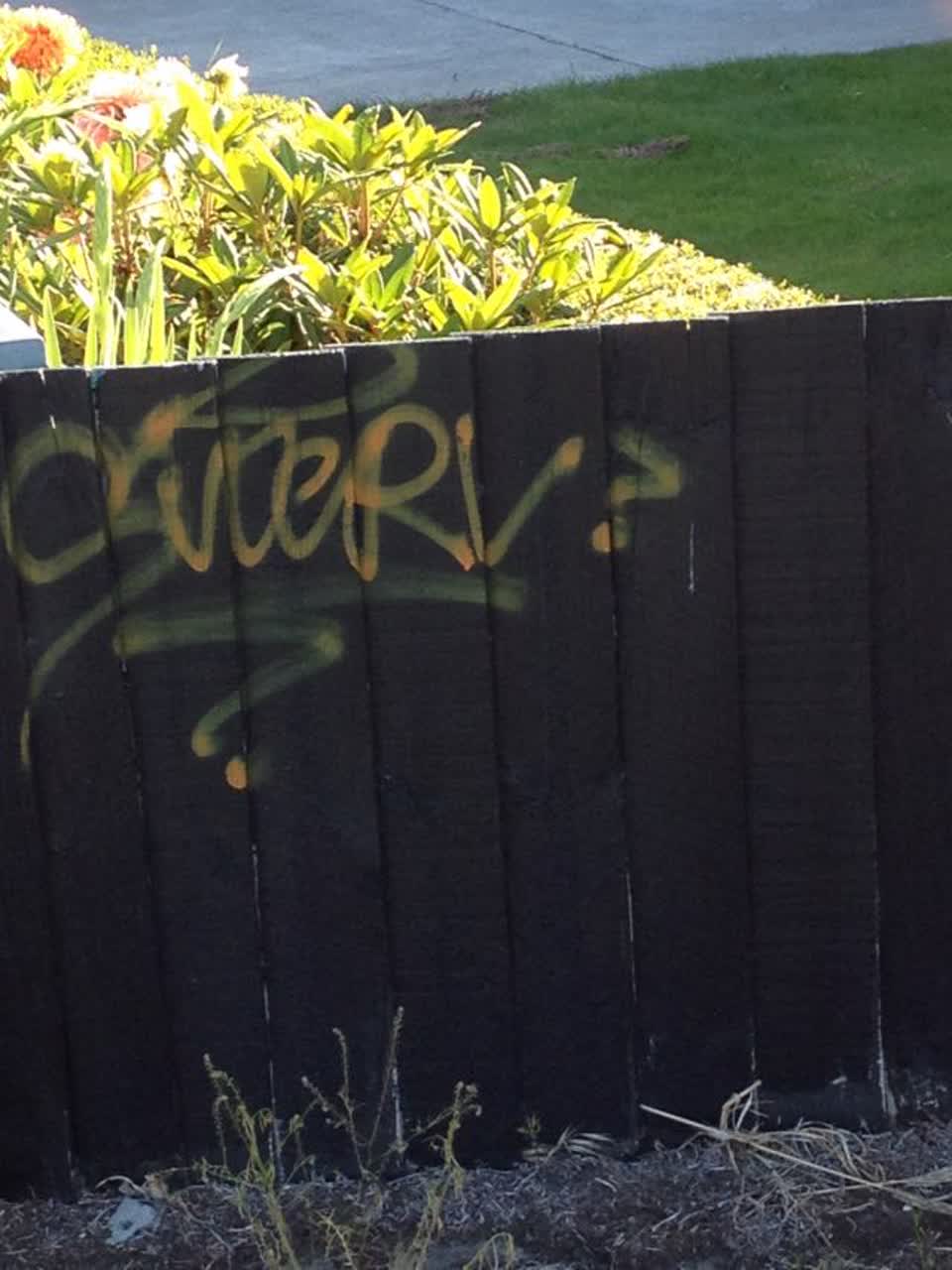 The photograph attached to this graffiti report