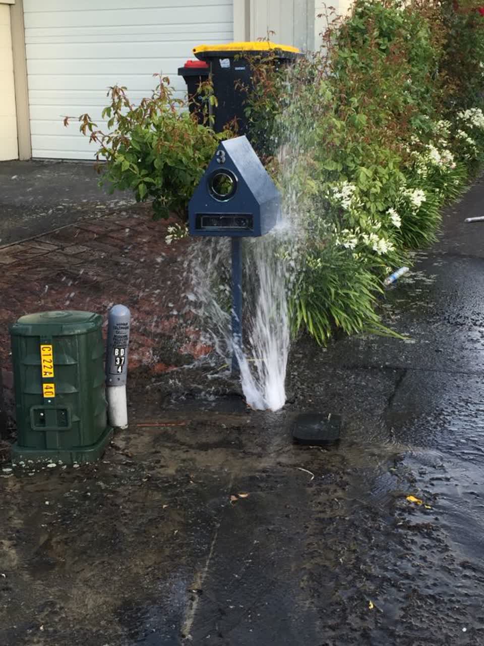 The photograph attached to this water supply report