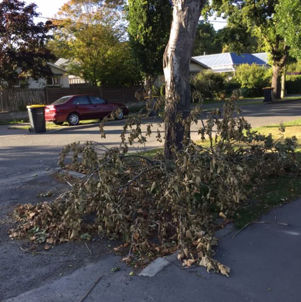 The photograph attached to this roading/streets report