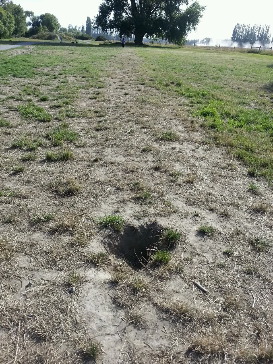 The photograph attached to this parks report