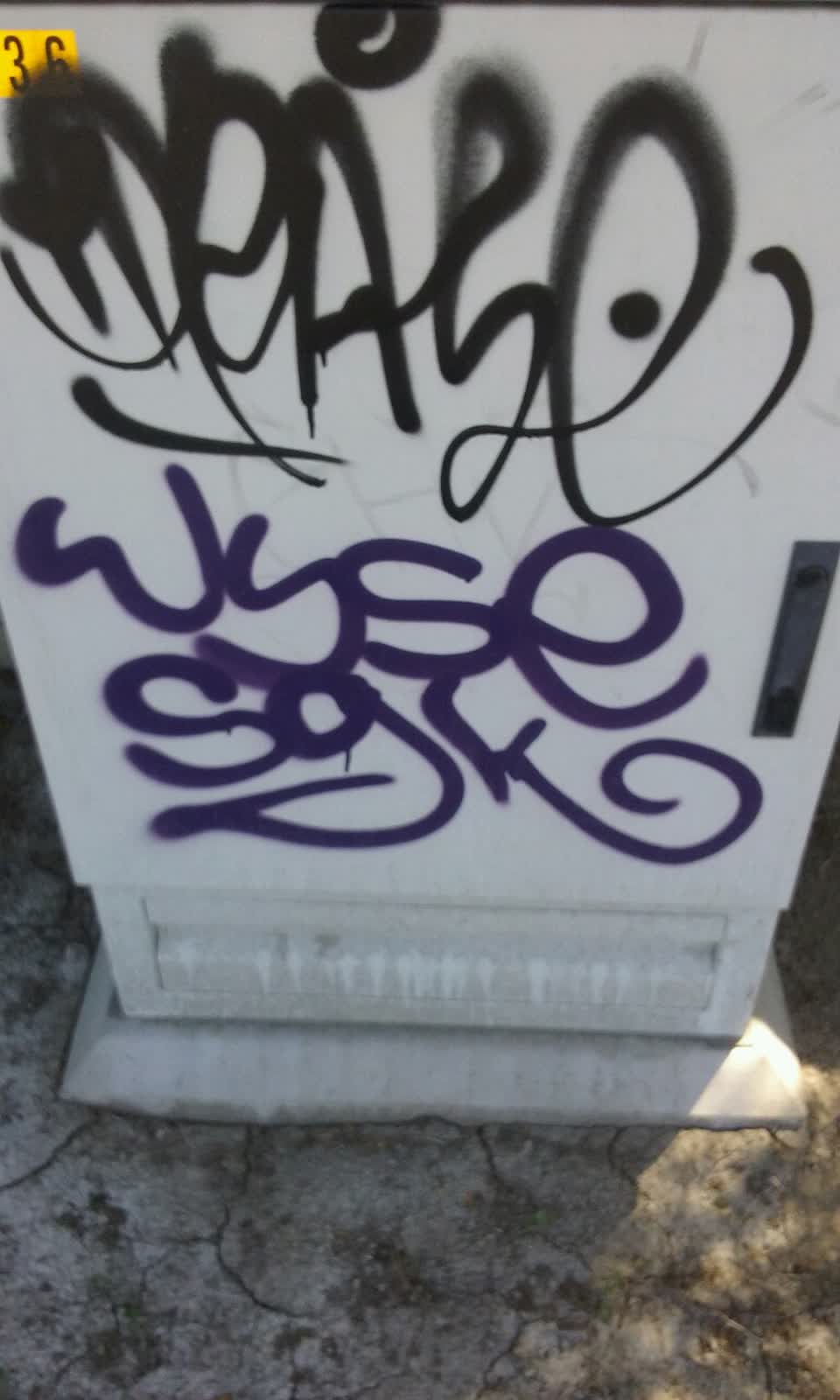 The photograph attached to this graffiti report