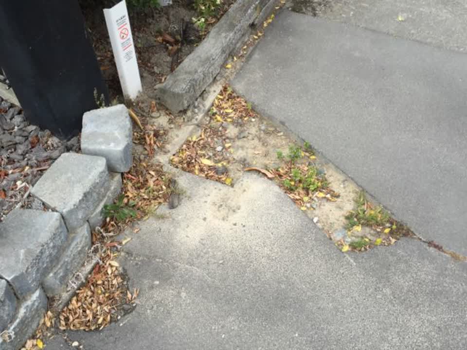 The photograph attached to this roading/streets report