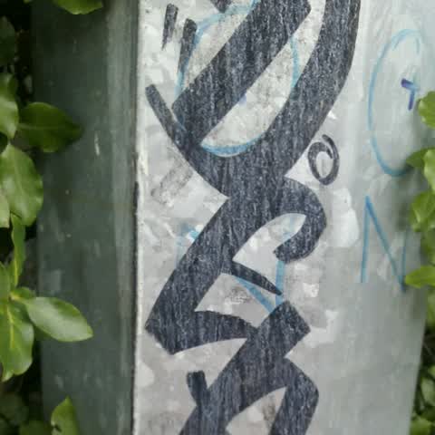 Graffiti, a report photo