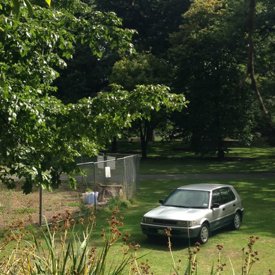 The photograph attached to this parks report