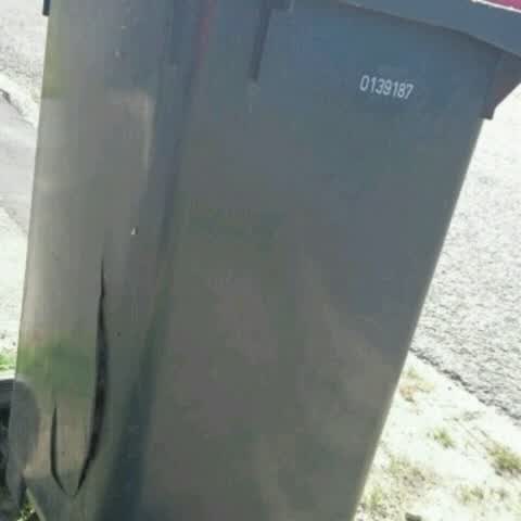 Rubbish/Recycling, a report photo
