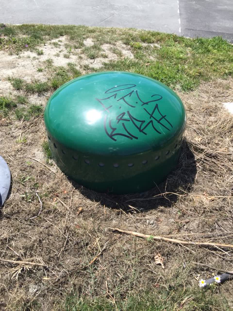 The photograph attached to this graffiti report