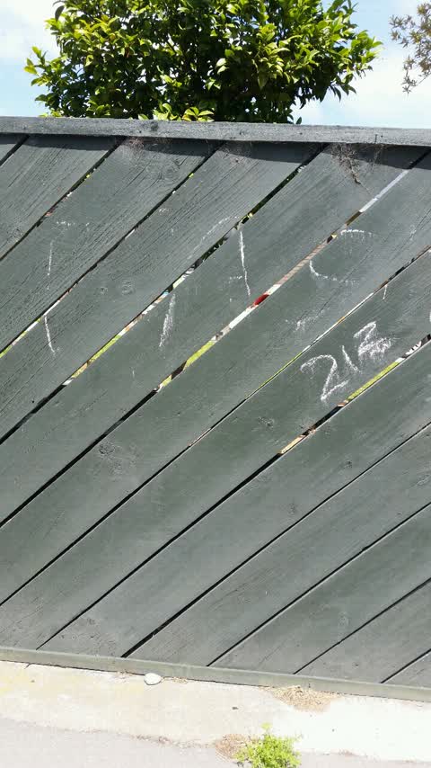 Graffiti, a report photo