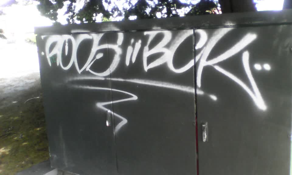 The photograph attached to this graffiti report