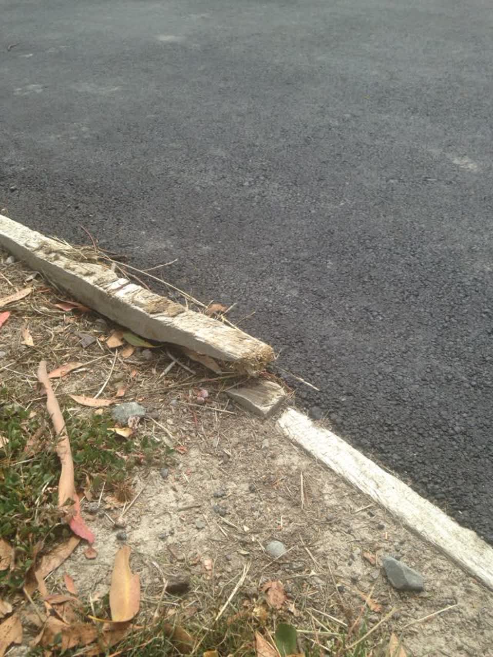 The photograph attached to this parks report