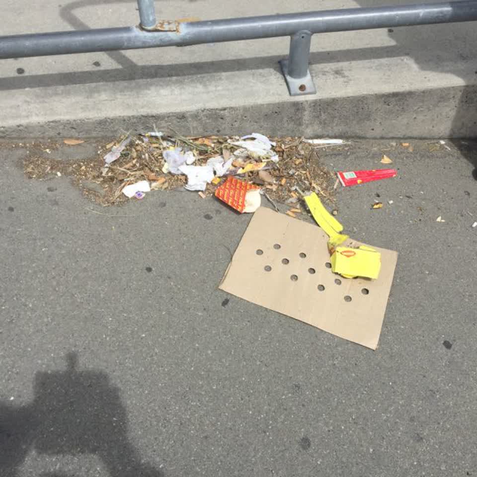 The photograph attached to this rubbish/recycling report