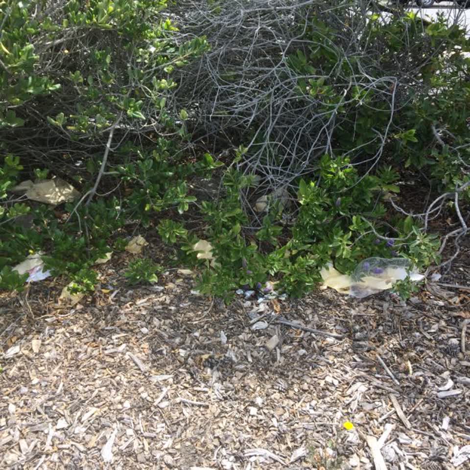 The photograph attached to this rubbish/recycling report