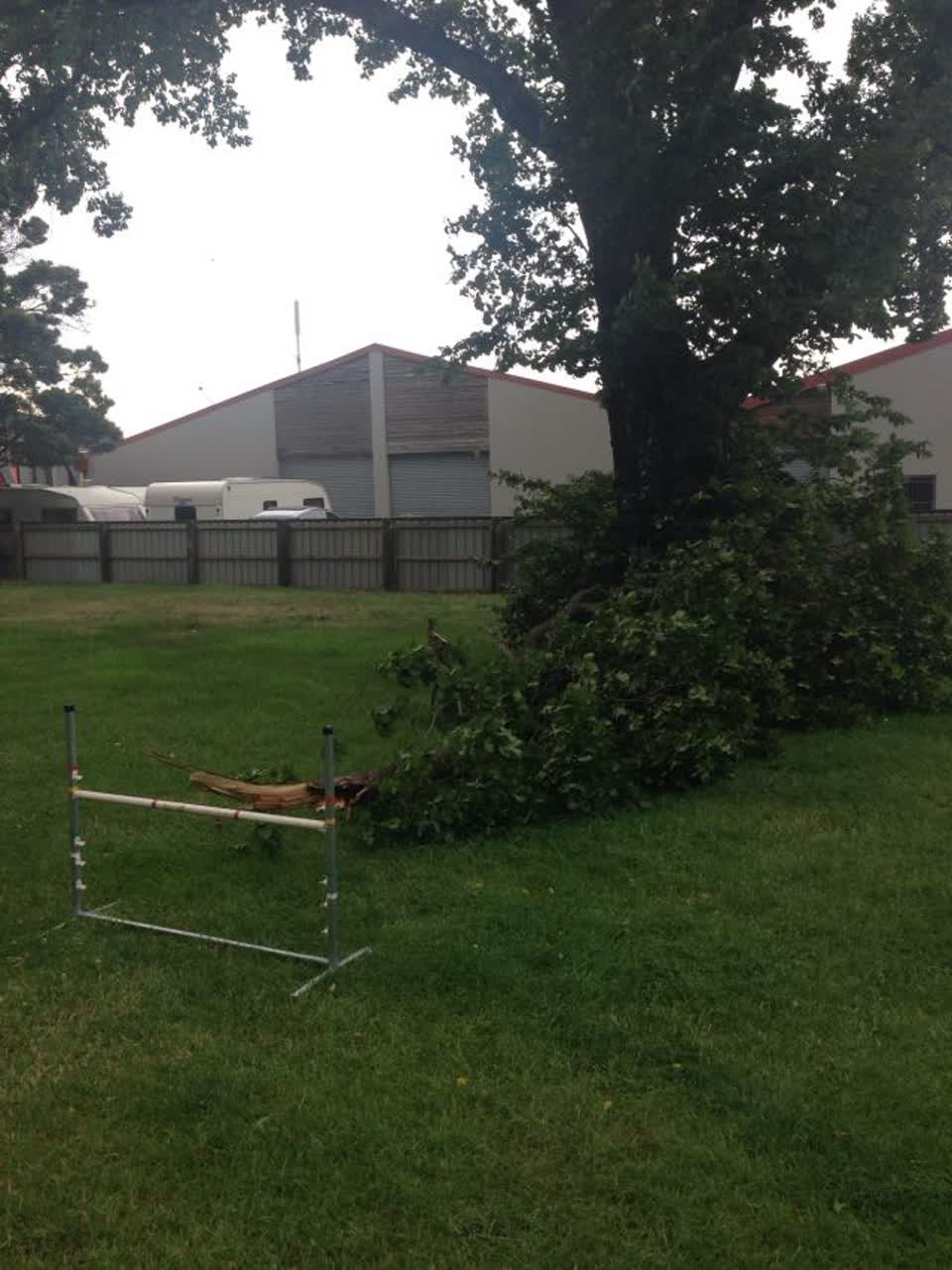 The photograph attached to this parks report