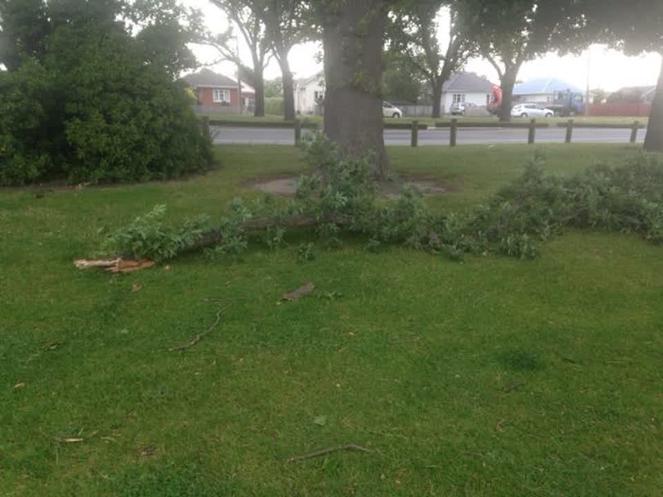 The photograph attached to this parks report