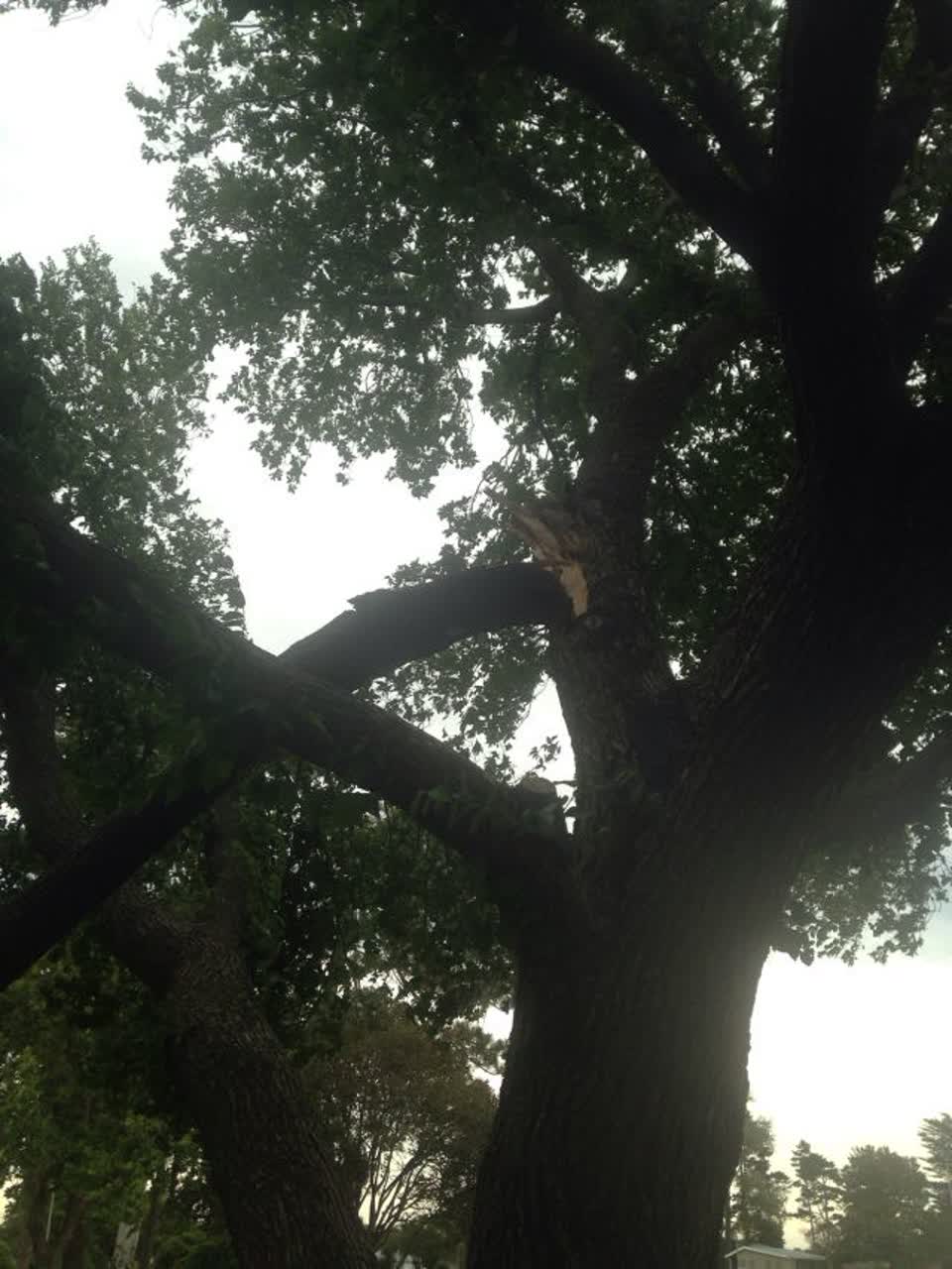The photograph attached to this parks report