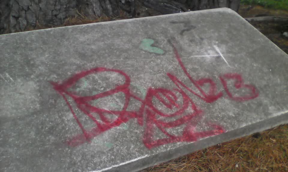 The photograph attached to this graffiti report
